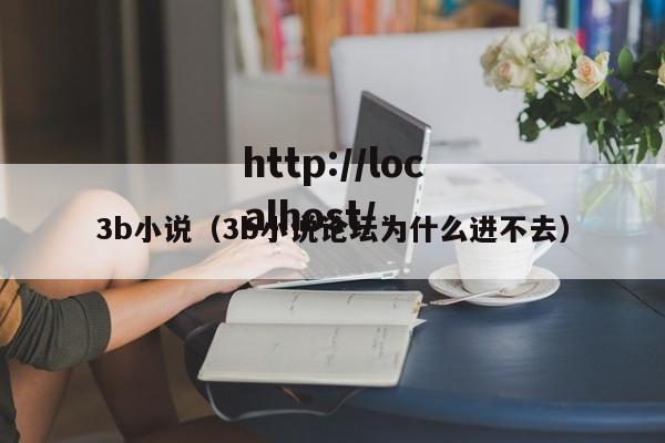 3b小说(3b小说论坛为什么进不去)